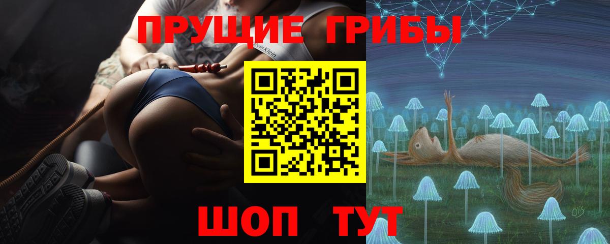 Псилоцибиновые грибы мицелий Городец